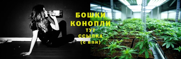 прущие грибы Верея