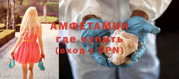 прущие грибы Верея
