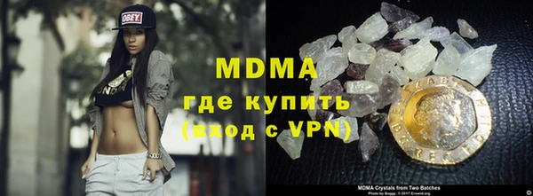 прущие грибы Верея