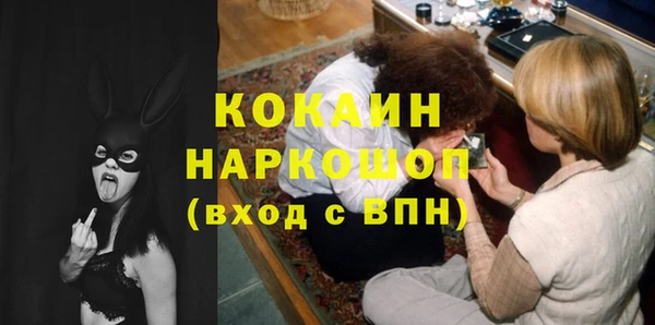 прущие грибы Верея