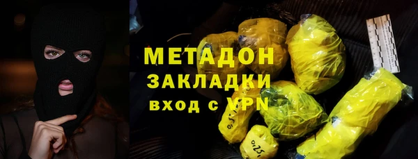 прущие грибы Верея