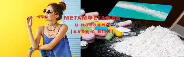 прущие грибы Верея