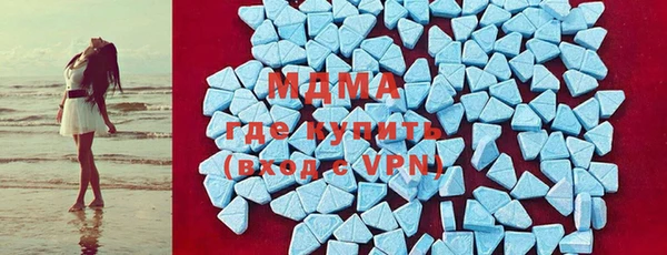 прущие грибы Верея