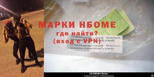 прущие грибы Верея