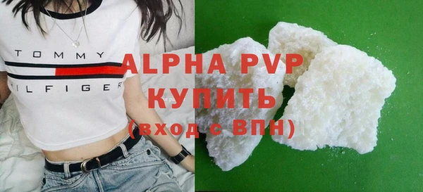 прущие грибы Верея