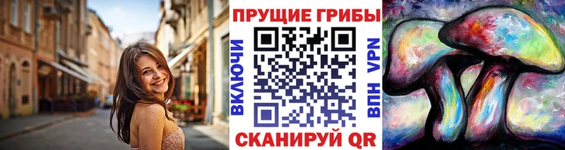 Псилоцибиновые грибы мухоморы  Купить закладки  Ядрин 